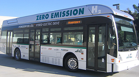 photo of business people at port.